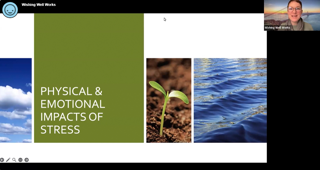 physicalemotionalimpactsstress